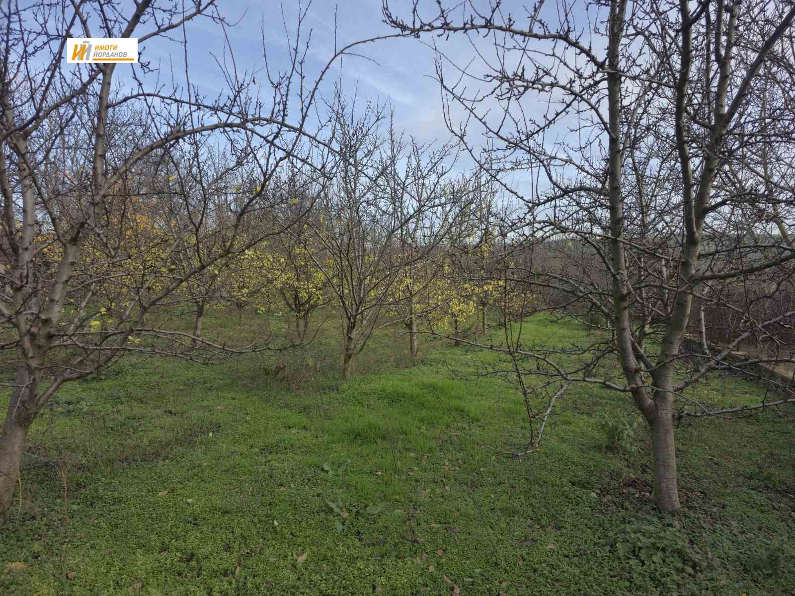 ������� ������ | Imot.bg � ����������� 1