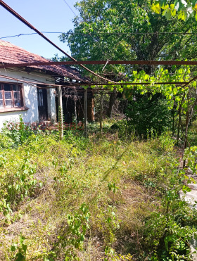 ������� ���� | Imot.bg � ����� ������ 8