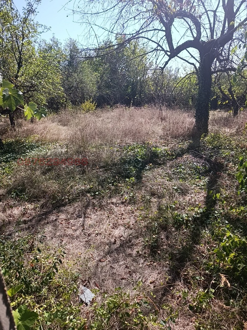 Продава КЪЩА, с. Николаево, област Плевен, снимка 11 - Къщи - 52781080