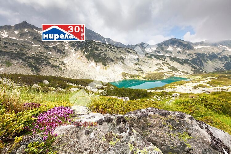 Продава КЪЩА, с. Говедарци, област София област, снимка 5 - Къщи - 52656789