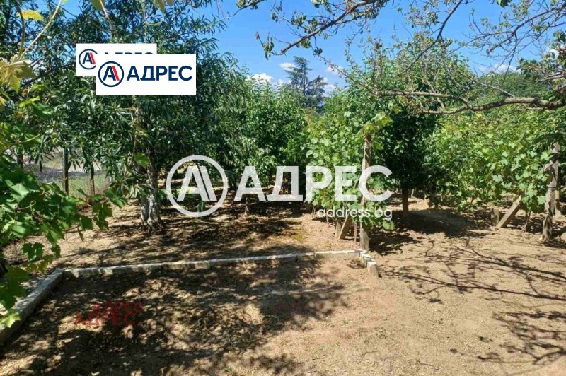 For Sale  Plot region Varna , Byala , 747 sq.m | 75423185 - image [4]