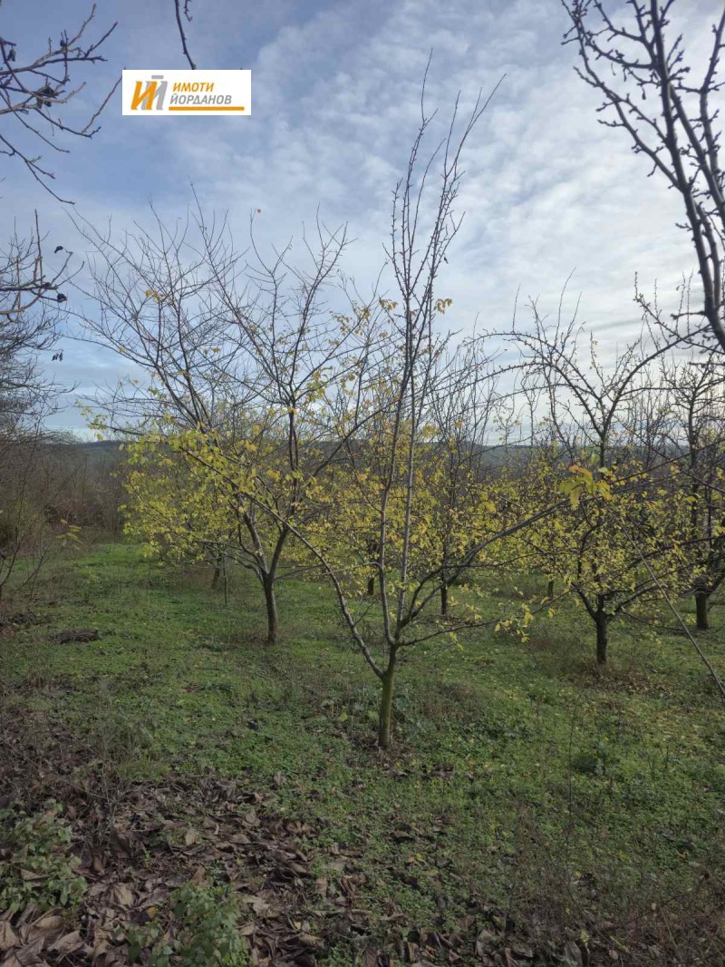 Продава ПАРЦЕЛ, с. Обединение, област Велико Търново, снимка 4 - Парцели - 52721760