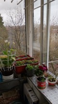 Продава  2-стаен град София , Център , 54 кв.м | 67237449 - изображение [15]
