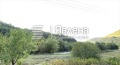 Продава ПАРЦЕЛ, област Ловеч, гр. Тетевен • 25000 € • 70147349 — Holmes.bg