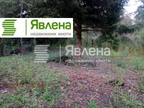 ����� ������� ������,���� �����, �. ��������