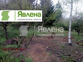 ����� ������� ������,���� �����, �. ��������>