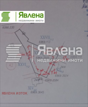 ����� ������� ������,���� �����, �. ��������