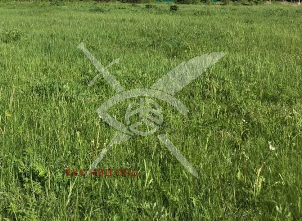 Продаја  Плот регион Пловдив , Костиево , 1014 м2 | 82715603