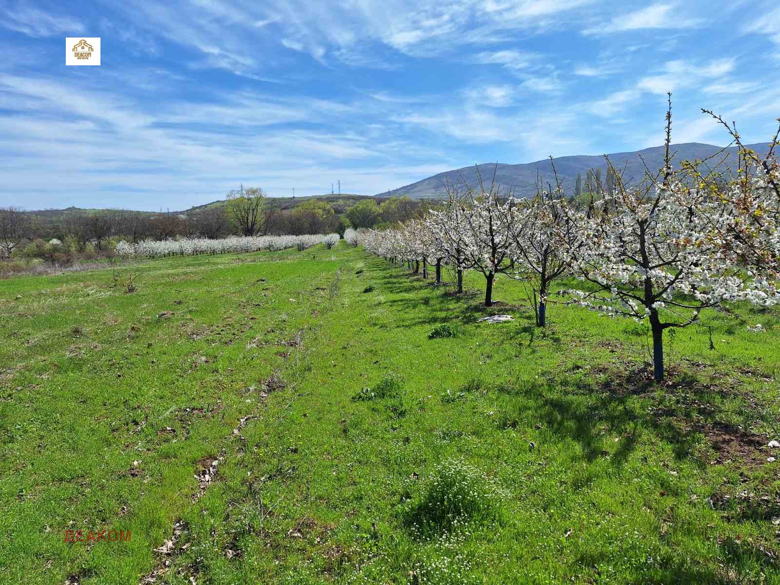 ������� ���������� ���� | Imot.bg � ����������� 1