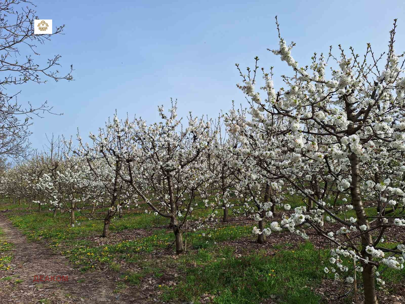 ������� ���������� ���� | Imot.bg � ����������� 5