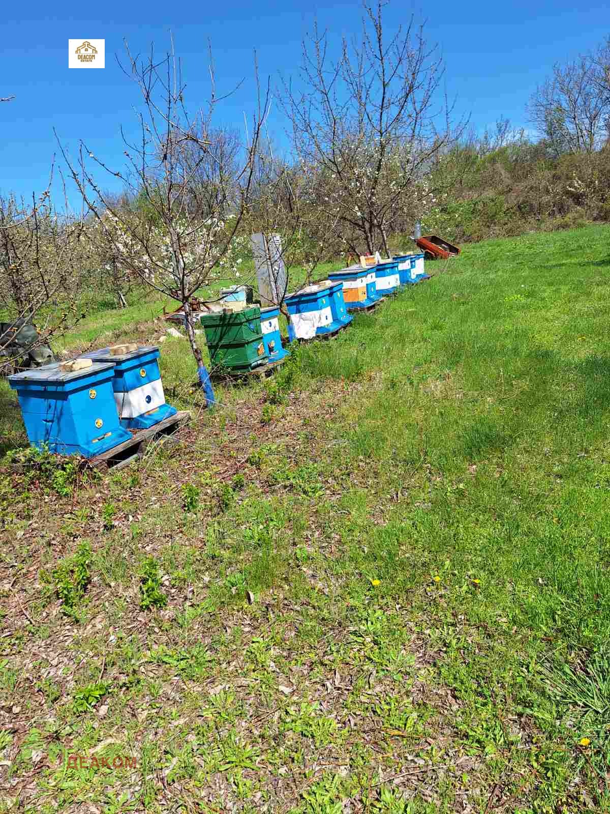 ������� ���������� ���� | Imot.bg � ����������� 4