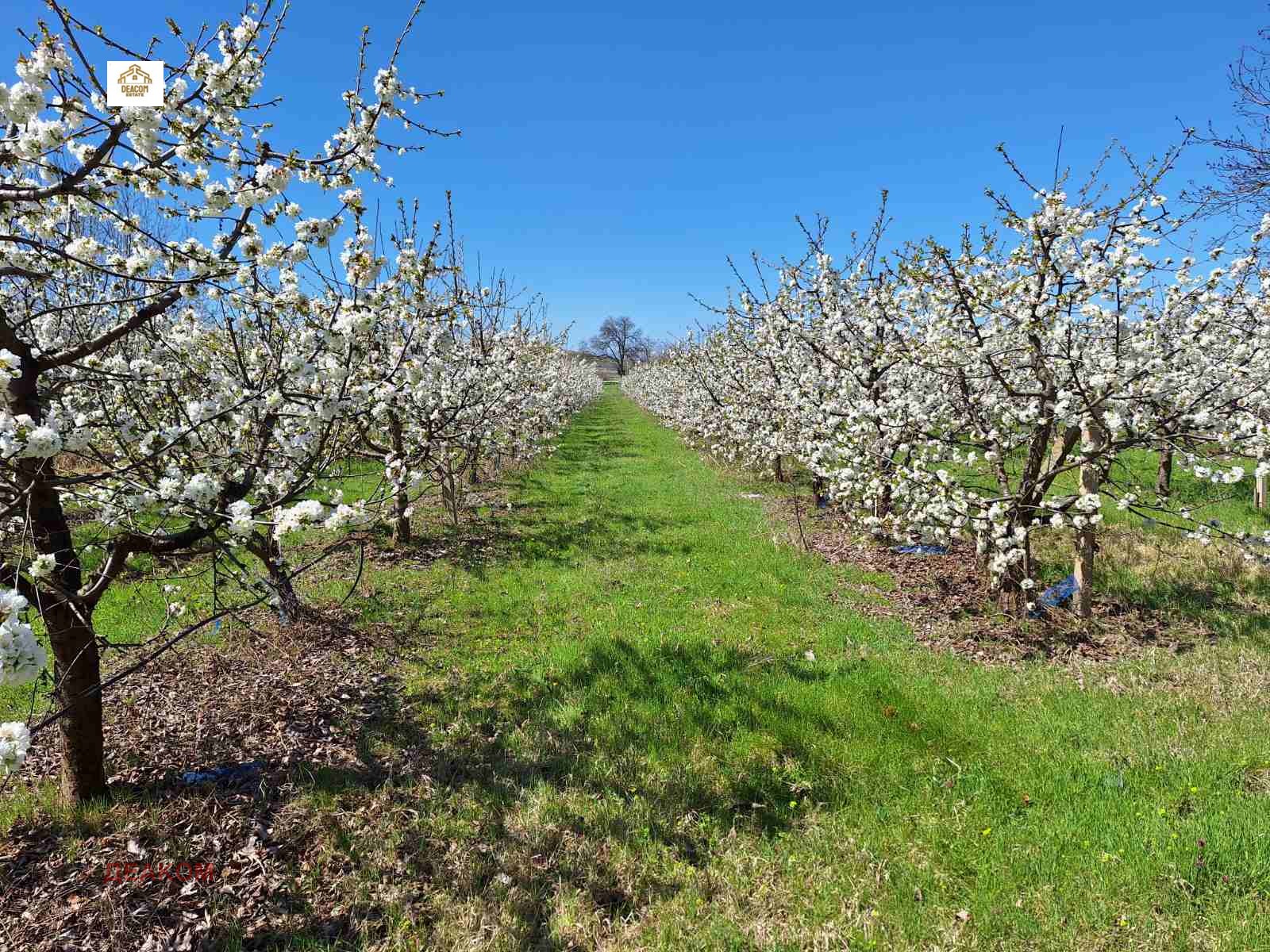 ������� ���������� ���� | Imot.bg � ����������� 3