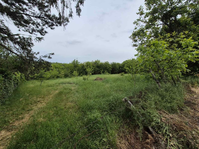 In vendita  Complotto regione Pleven , Grivitsa , 2050 mq | 90611842 - Immagine [2]