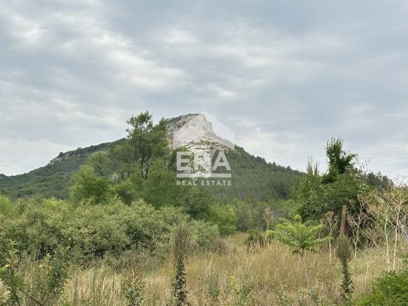 Продава КЪЩА, с. Невша, област Варна, снимка 11 - Къщи - 53269597