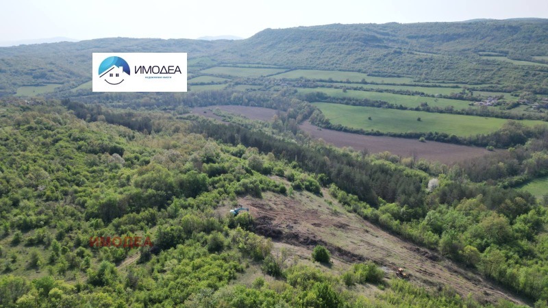 Продава БИЗНЕС ИМОТ, гр. Дряново, област Габрово, снимка 7 - Други - 51985391