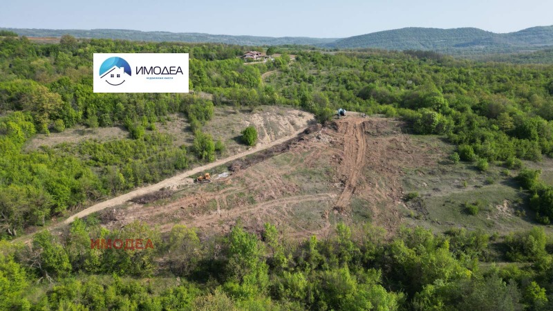 Продава БИЗНЕС ИМОТ, гр. Дряново, област Габрово, снимка 9 - Други - 51985391