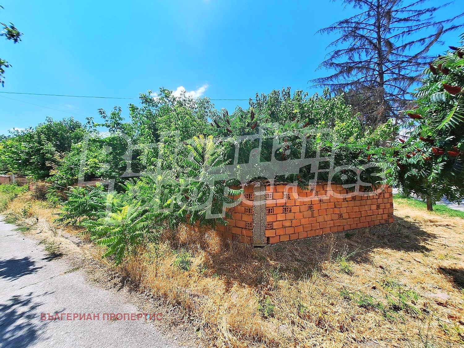Продава КЪЩА, с. Морава, област Велико Търново, снимка 9 - Къщи - 55297168
