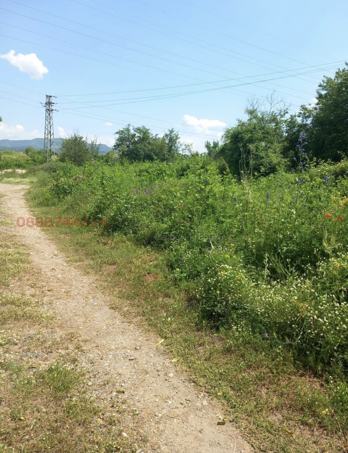 Продава ПАРЦЕЛ, гр. Кърджали, Веселчане, снимка 4 - Парцели - 55615015
