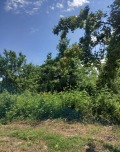 Продава ПАРЦЕЛ, гр. Кърджали, Веселчане, снимка 5