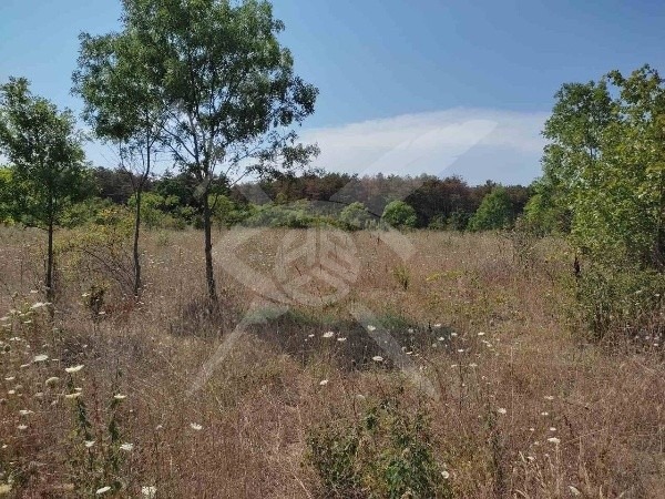 Продава ПАРЦЕЛ | Imot.bg — изображение 1