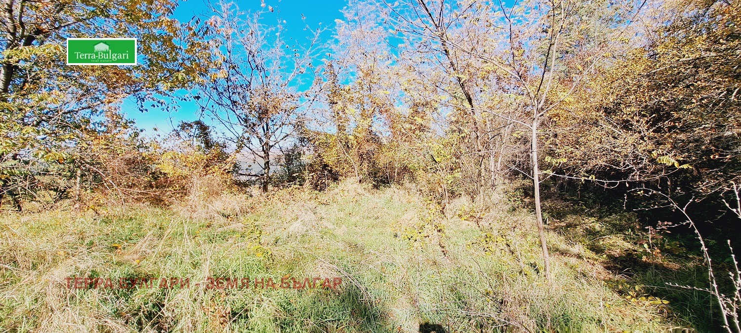 Продава КЪЩА | Imot.bg — изображение 7