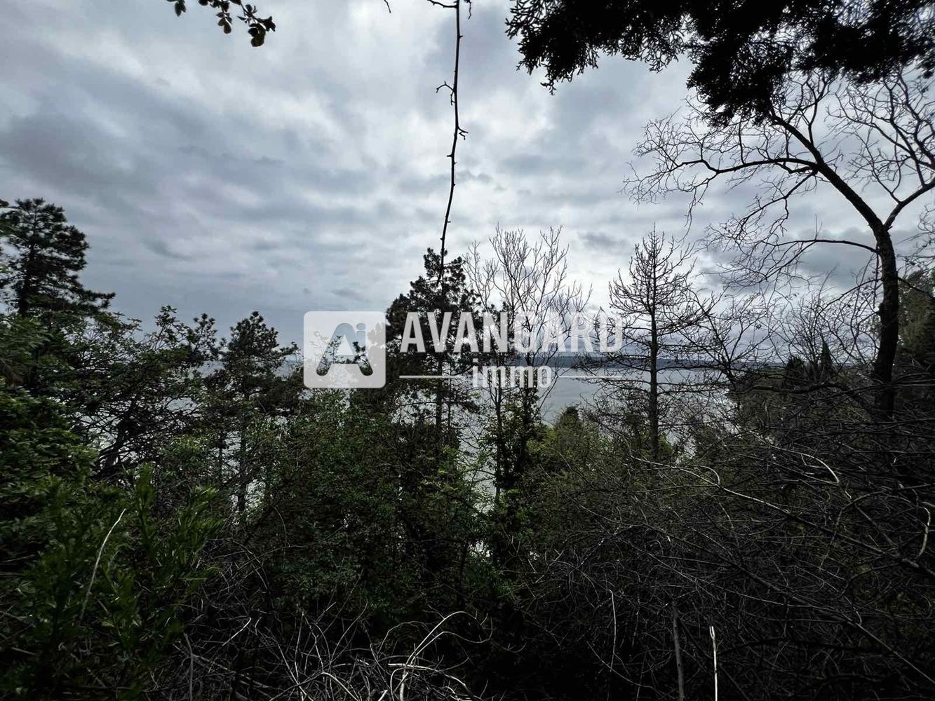 ������� ������ | Imot.bg � ����������� 1