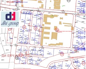 ����� ������� ������,���� �����, ���������