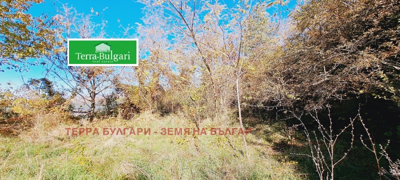 Продава  Къща град София , с. Мърчаево , 178 кв.м | 93878089 - изображение [6]