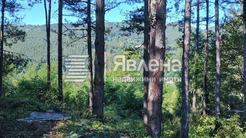 Продава ПАРЦЕЛ, с. Владо Тричков, област София област, снимка 8 - Парцели - 55535068