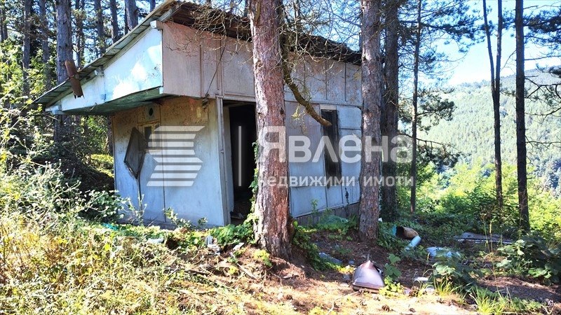 Продава ПАРЦЕЛ, с. Владо Тричков, област София област, снимка 4 - Парцели - 55535068