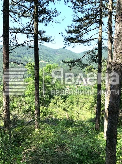 Продава ПАРЦЕЛ, с. Владо Тричков, област София област, снимка 2 - Парцели - 55535068