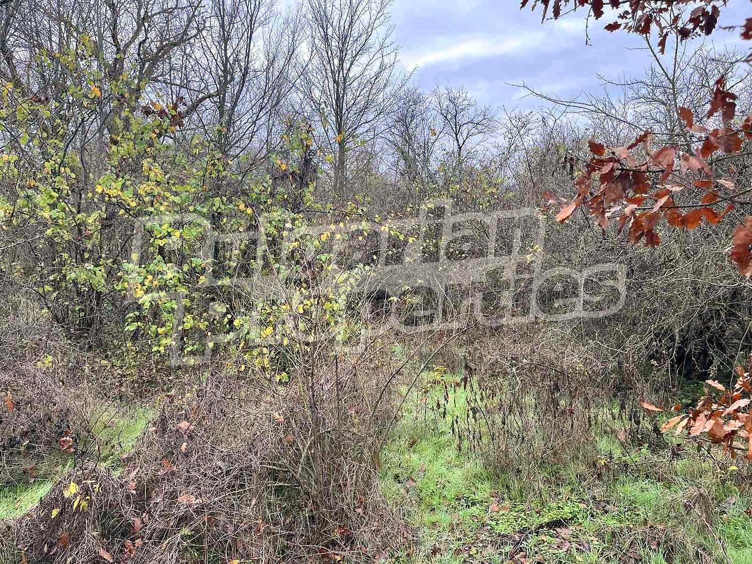 ������� ���� | Imot.bg � ����������� 14