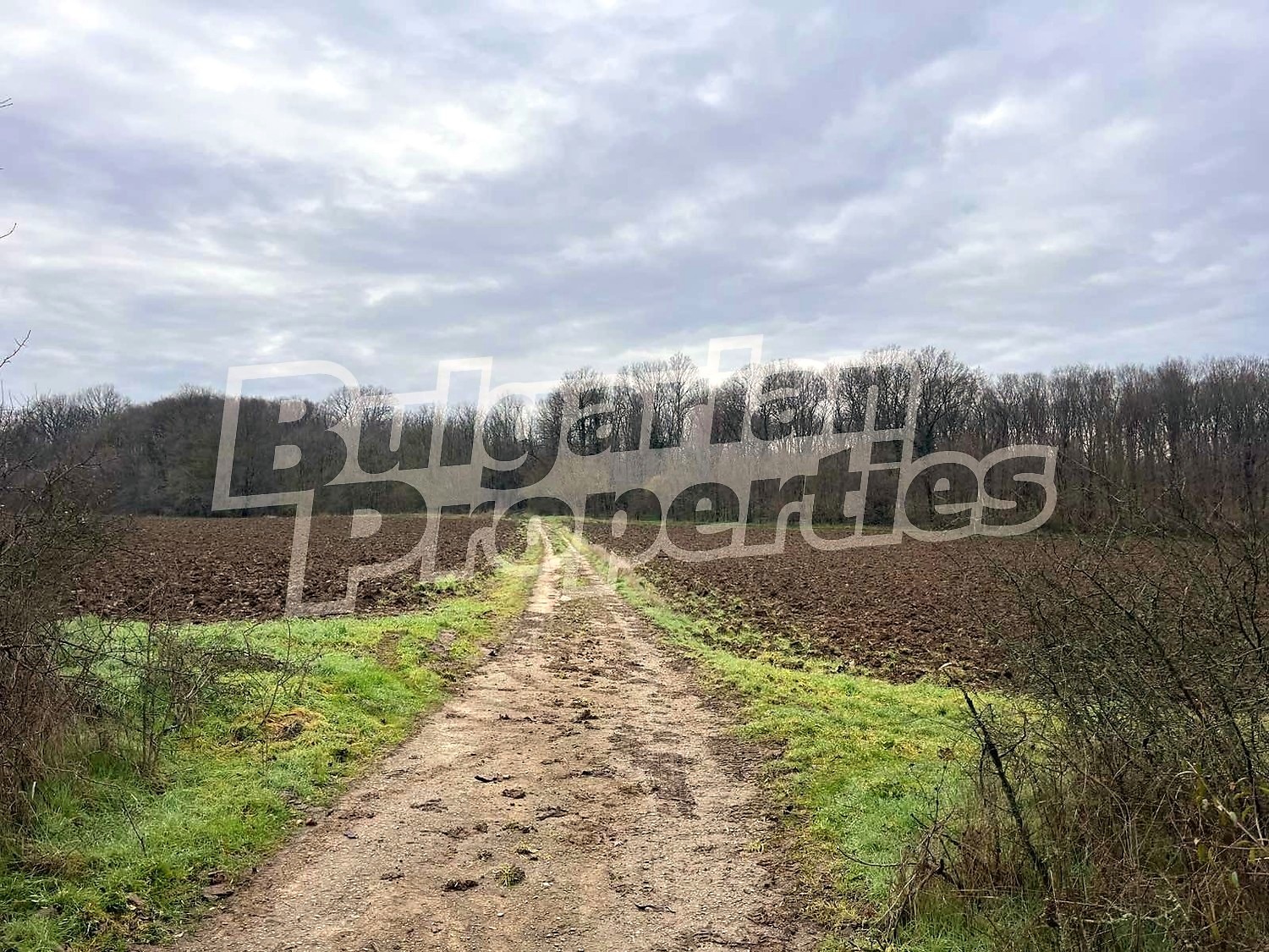 ������� ���� | Imot.bg � ����������� 12