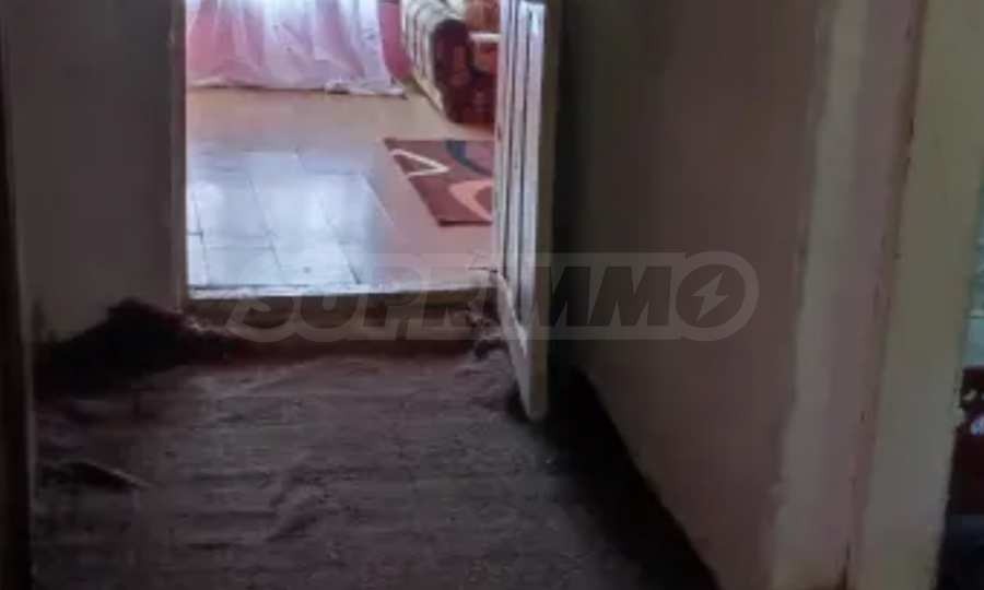 ������� ���� | Imot.bg � ����������� 5