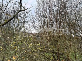 ������� ���� | Imot.bg � ����� ������ 13