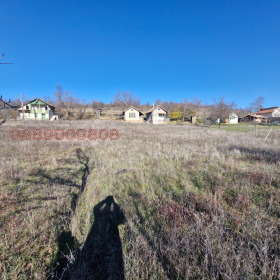 ����� ������� ����,��. �������, ������ �������