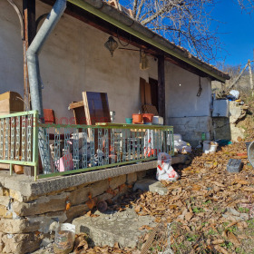 ����� ������� ����,��. �������, ������ �������>