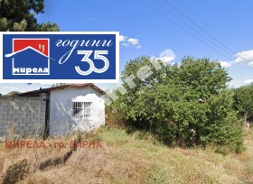 ������ ������� ������