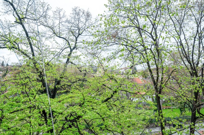Satılık  1 yatak odası Plovdiv , Centar , 76 metrekare | 42674741 - görüntü [8]
