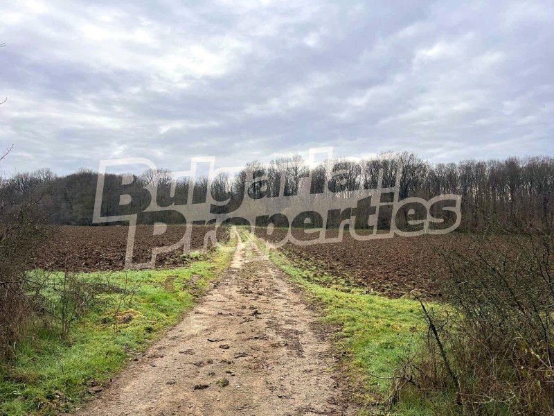 Продава КЪЩА, с. Радево, област Варна, снимка 11 - Къщи - 53009108