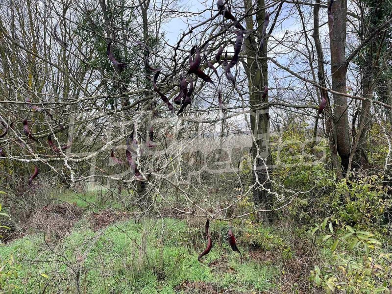 Продава КЪЩА, с. Радево, област Варна, снимка 10 - Къщи - 53009108