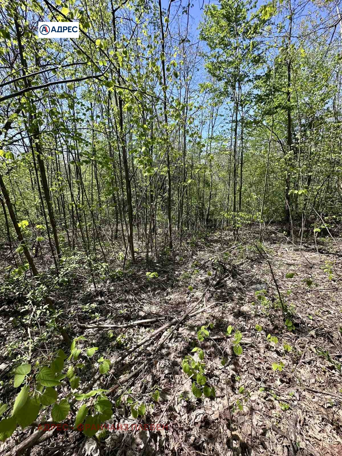 Продава ПАРЦЕЛ, с. Велчево, област Ловеч, снимка 3 - Парцели - 54366159