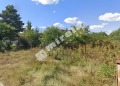 Продава ПАРЦЕЛ, с. Дебрене, област Добрич, снимка 2