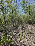 Продава ПАРЦЕЛ, с. Велчево, област Ловеч, снимка 3