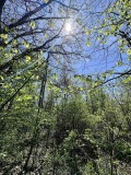Продава ПАРЦЕЛ, с. Велчево, област Ловеч, снимка 5