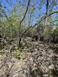Продава ПАРЦЕЛ, с. Велчево, област Ловеч, снимка 2