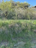 Продава ПАРЦЕЛ, с. Радуй, област Перник, снимка 2