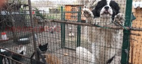 ������� ���� | Imot.bg � ����� ������ 11
