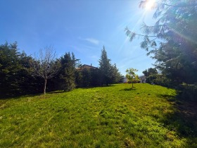 ����� ������� ������,�. ��������, ������ �������>