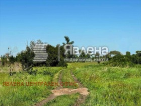 ����� ������� ������,��. ����������, ������ �����